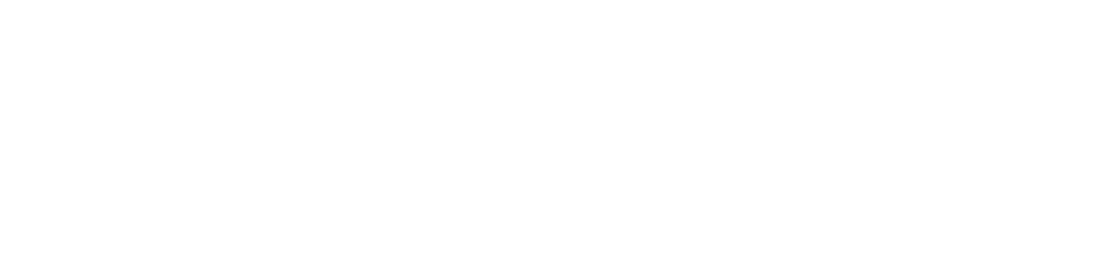 Danish Tech Startups Association